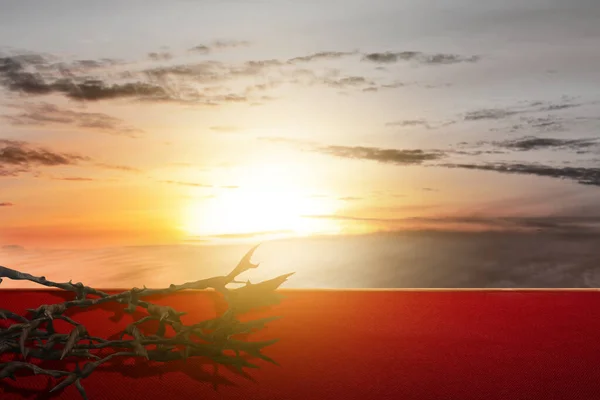 Корона Шипів Фоном Неба Заходу Сонця — стокове фото