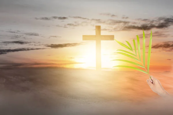 Полі Хрест Пальмовий Листок Заходом Сонця Пальмова Неділя — стокове фото