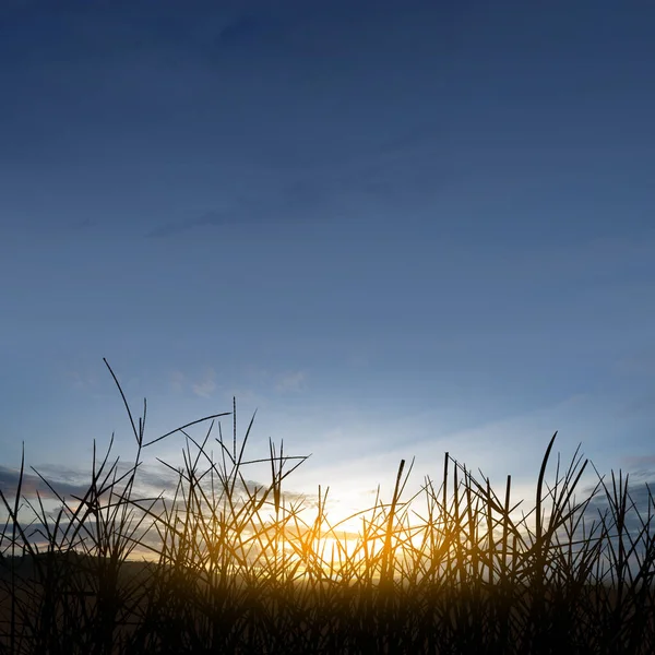 Ландшафтний Вид Луг Фоном Неба Заходу Сонця — стокове фото