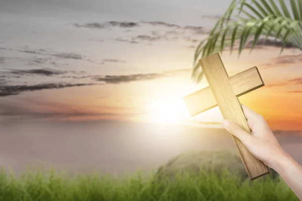 Людська Рука Тримає Хрест Пальмовий Листок Зображенням Заходу Сонця Пальмова — стокове фото
