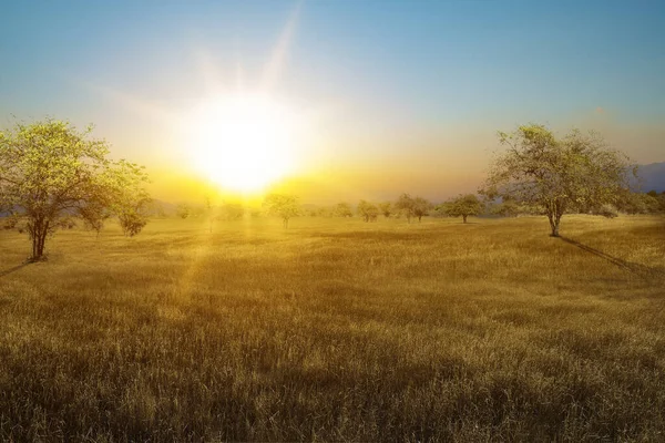 Krajina Pohled Savanu Pozadím Západu Slunce — Stock fotografie