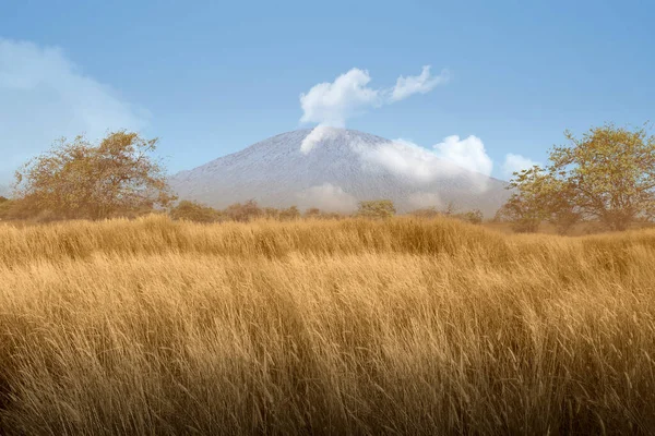 Landscape view of the savanna with blue sky background