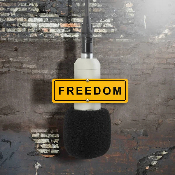 Mikrofon Med Frihetstext Begreppet Pressfrihet Världen — Stockfoto