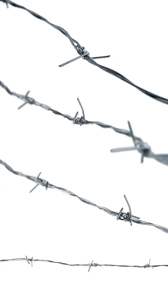 Barbed Wire Isolated White Background — Stock Photo, Image