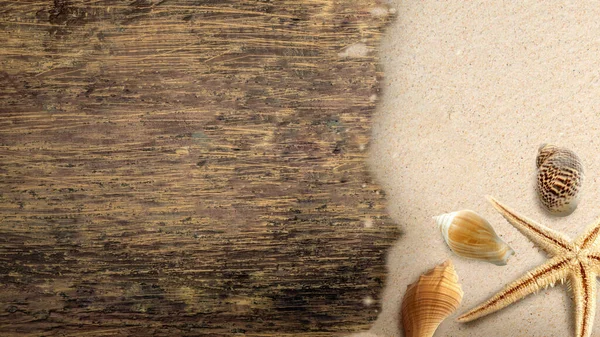 stock image Seashells and starfish with wooden floors on the sandy beach. Nature background