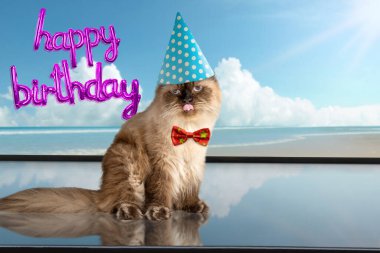 Doğum günü partisini kutlayan bej bir kedinin portresi. Mutlu yıllar kedi konsepti