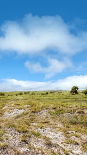 Mavi Gökyüzü Arkaplanlı Çayır Alanı — Stok fotoğraf