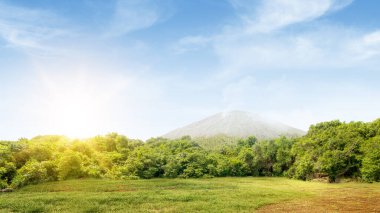 Meadow field with mountain and blue sky background