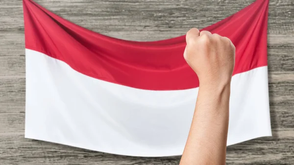 手握拳头 手握红白相间的旗子 印度尼西亚独立日 — 图库照片