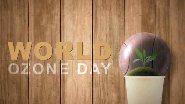 Green plants grow on the ground with layer protect in disposable cups. World ozone day concept