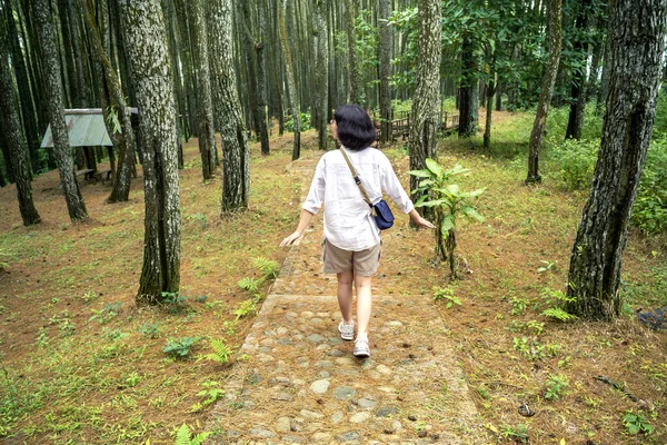 Ormanda Dolaşan Asyalı Bir Kadının Arka Görüntüsü Seyahat Etkinliği — Stok fotoğraf