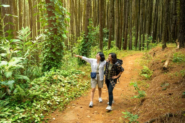 Ormanda Birlikte Yürüyen Iki Asyalı Kadın Seyahat Etkinliği — Stok fotoğraf