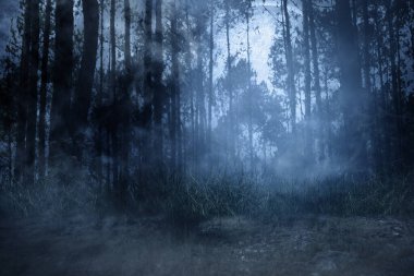 Geceleyin dolunay olan puslu bir orman. Korkunç Cadılar Bayramı konsepti