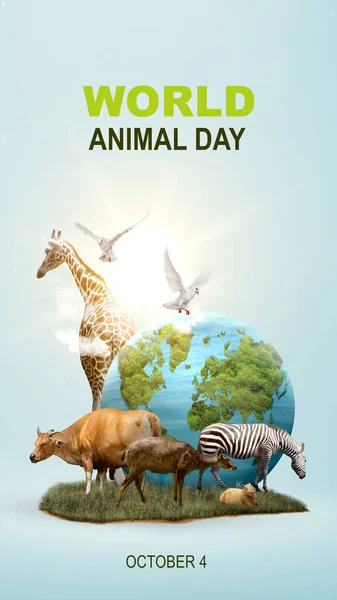 Animaux Sauvages Terre Concept Journée Mondiale Des Animaux — Photo