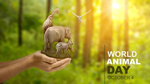 Ludzka Ręka Ukazująca Zwierzęta Dzikiej Przyrodzie Koncepcja Światowego Dnia Zwierząt — Zdjęcie stockowe