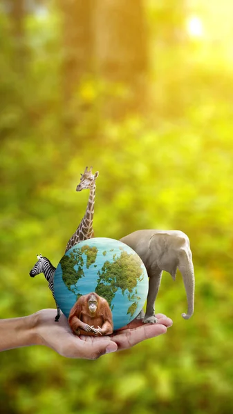 Human hand showing wildlife animal and earth. World Animal Day concept