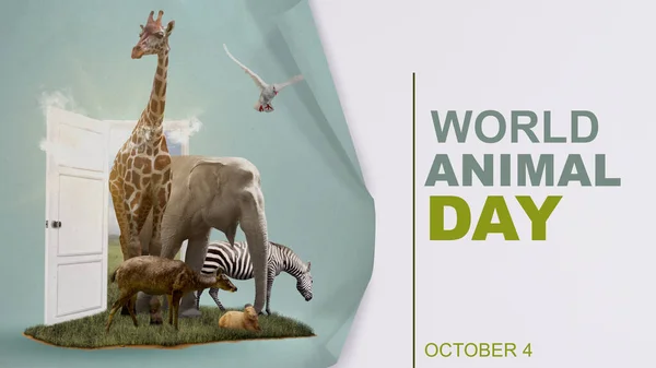 Animaux Dans Faune Concept Journée Mondiale Des Animaux — Photo