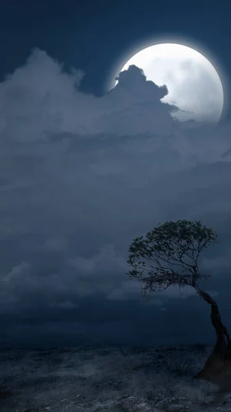 Árbol Muerto Con Luna Llena Noche Concepto Fondo Halloween Miedo — Foto de Stock