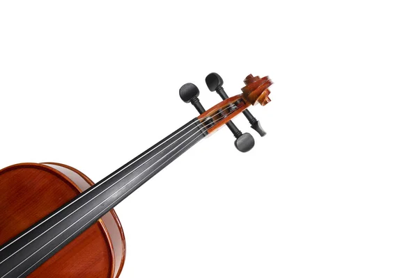 Geige Orchester Musikinstrument Isoliert Über Weißem Hintergrund — Stockfoto