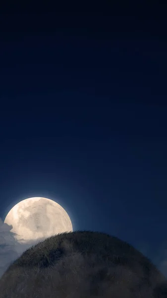 夜に満月の景色を眺めるメドウフィールド 怖いハロウィーンの背景コンセプト — ストック写真