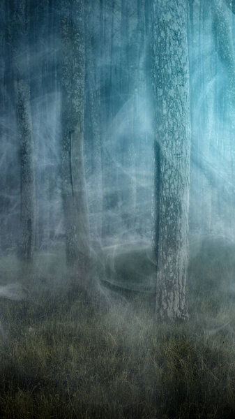 Misty forest in the night. Scary Halloween background concept