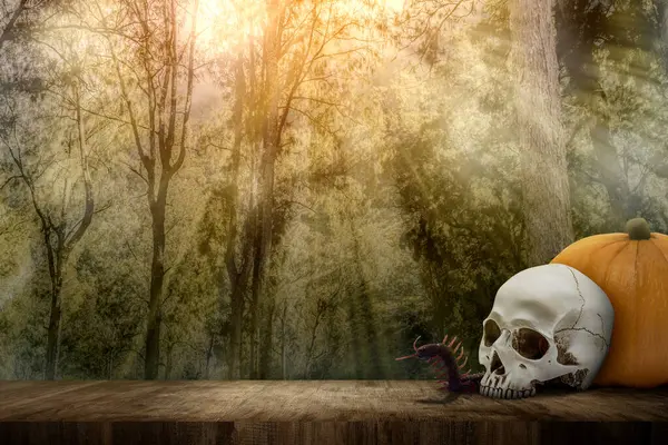 南瓜和一个人头骷髅在木地板上与闹鬼的森林背景 可爱的万圣节壁纸概念 — 图库照片