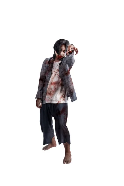 Zumbi Assustador Com Sangue Feridas Seu Corpo Andando Isolado Sobre — Fotografia de Stock