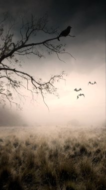 Çayır tarlası ve dramatik bulutlu uçan yarasalar. Korkunç Cadılar Bayramı konsepti
