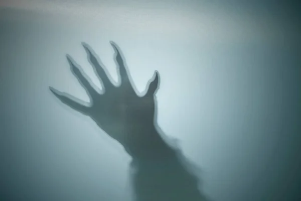 Shadow of werewolf hand on a colored background. Scary Wolf Halloween concept