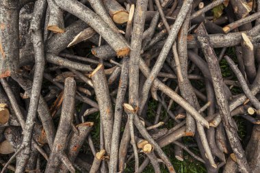 Ahşap kütük yığınının görüntüsünü kapat