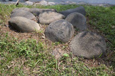 Yerde yeşil çimenli taşlar 