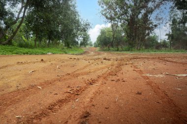 Kırsal yoldaki ağaçlar mavi gökyüzü arka planına sahipler