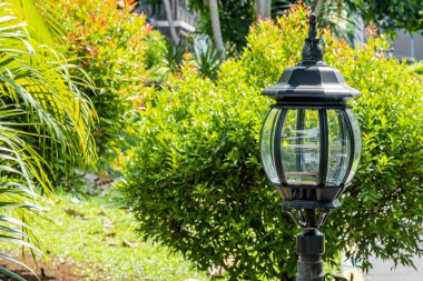 Parkta ağaçlı ışıklar ve yeşil bitkiler