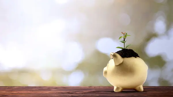 Piggy bank with newly grown plant seedlings above them on the table. Saving money concept