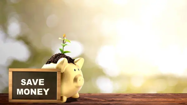 Piggy bank with newly grown plant seedlings above them with small chalkboard with 'save money' text on the table. Saving money concept