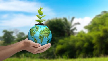 Mavi gökyüzü arka planında büyüyen bir bitkinin olduğu küreyi tutan bir insan eli. Dünya Günü konsepti