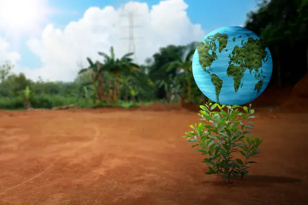 Grown plant with a globe on the field with a blue sky background. Earth day concept