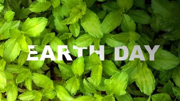 Closeup view of green leaves with Earth Day message. Earth day concept