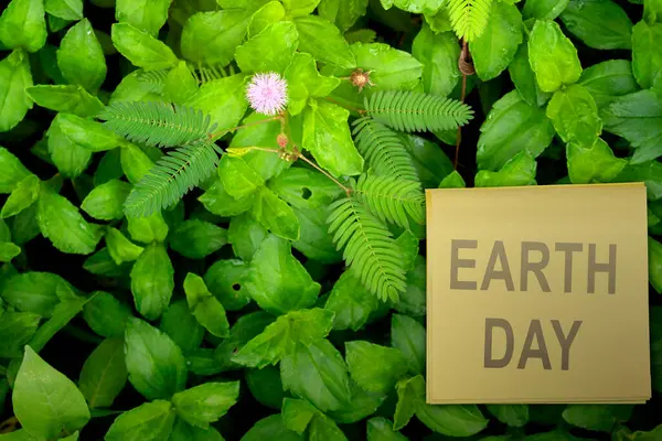 Closeup view of green leaves with Earth Day message. Earth day concept