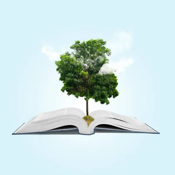 Abra Livro Com Uma Árvore Crescimento Com Fundo Colorido Conceito Imagens Royalty-Free