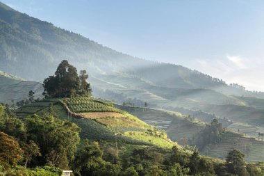 Ortasında küçük bir ağaç olan bir dağ sırası. Gökyüzü mavi ve güneş Silancur Highland, Magelang, Endonezya 'da parlıyor.