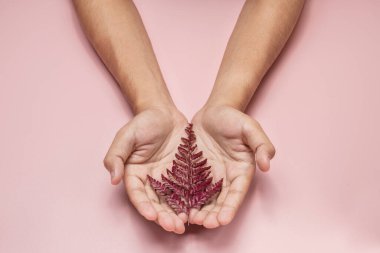 Pembe arka planda kırmızı bir yaprağı nazikçe tutarak, çevrenin korunması ve bakımı için güçlü bir görüntü oluşturur.