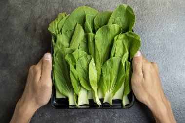Bir kişi bir tepsi yeşil sebze tutuyor. Sebzeler taze ve sağlıklıdır ve düzenli ve düzenli bir şekilde düzenlenmişlerdir. Tepsi tezgahın üstüne konur.