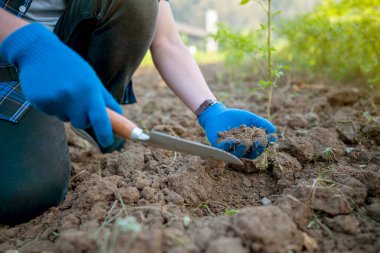 Birisi bir kürek ve bir çift mavi eldivenle toprağı kazıyor. Eldivenler toprağa ve pisliğe dayanıklı bir maddeden yapılmış. Bir bahçede ya da tarlada çalışıyor gibi görünüyor.