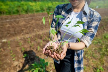 Bir kadın elinde üç küçük bitki tutuyor. Gülümsüyor ve mutlu. Sahne yeşilliklerle çevrili bir tarlada geçiyor.