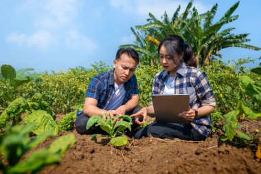 Bir kadın bir bitkiye bakarken elinde bir tablet tutuyor. Tablet siyah ve kadın ekose gömlek giyiyor.