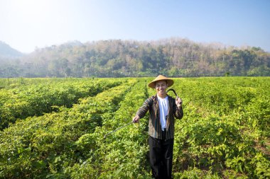 Şapkalı Endonezyalı bir çiftçi elinde böcek ilacı spreyi tutuyor ve acı biber tarlasında duruyor. Sahne huzurlu ve huzurlu, çünkü adam sahada eğleniyor.