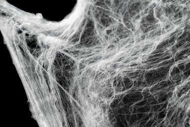 Ürkütücü örümcek ağı ağı ağı siyah bir arkaplanı kapladı. Soyut cadılar bayramı arkaplanı