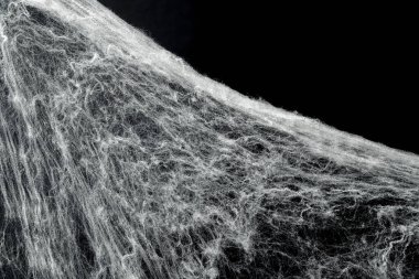 Ürkütücü örümcek ağı ağı ağı siyah bir arkaplanı kapladı. Soyut cadılar bayramı arkaplanı