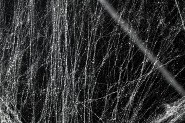 Ürkütücü örümcek ağı ağı ağı siyah bir arkaplanı kapladı. Soyut cadılar bayramı arkaplanı